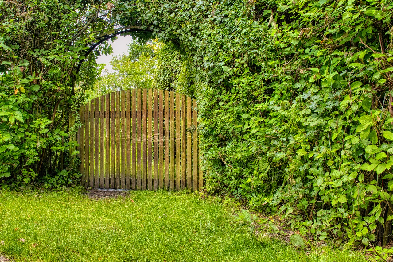 garden gate, wood, gate